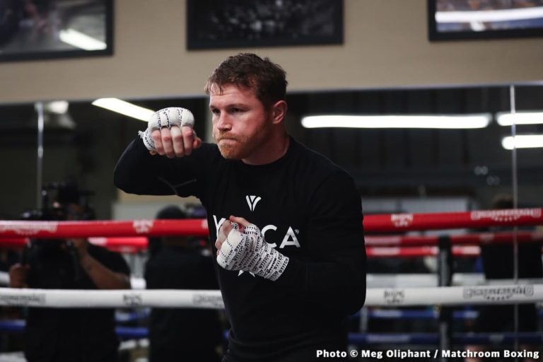 Canelo Alvarez & Jermall Charlo Fighting On September 30th